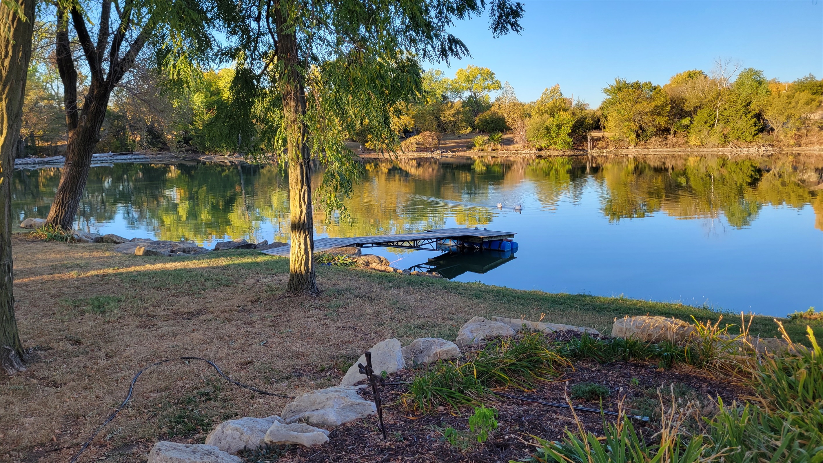 Fall colors paint the backyard.