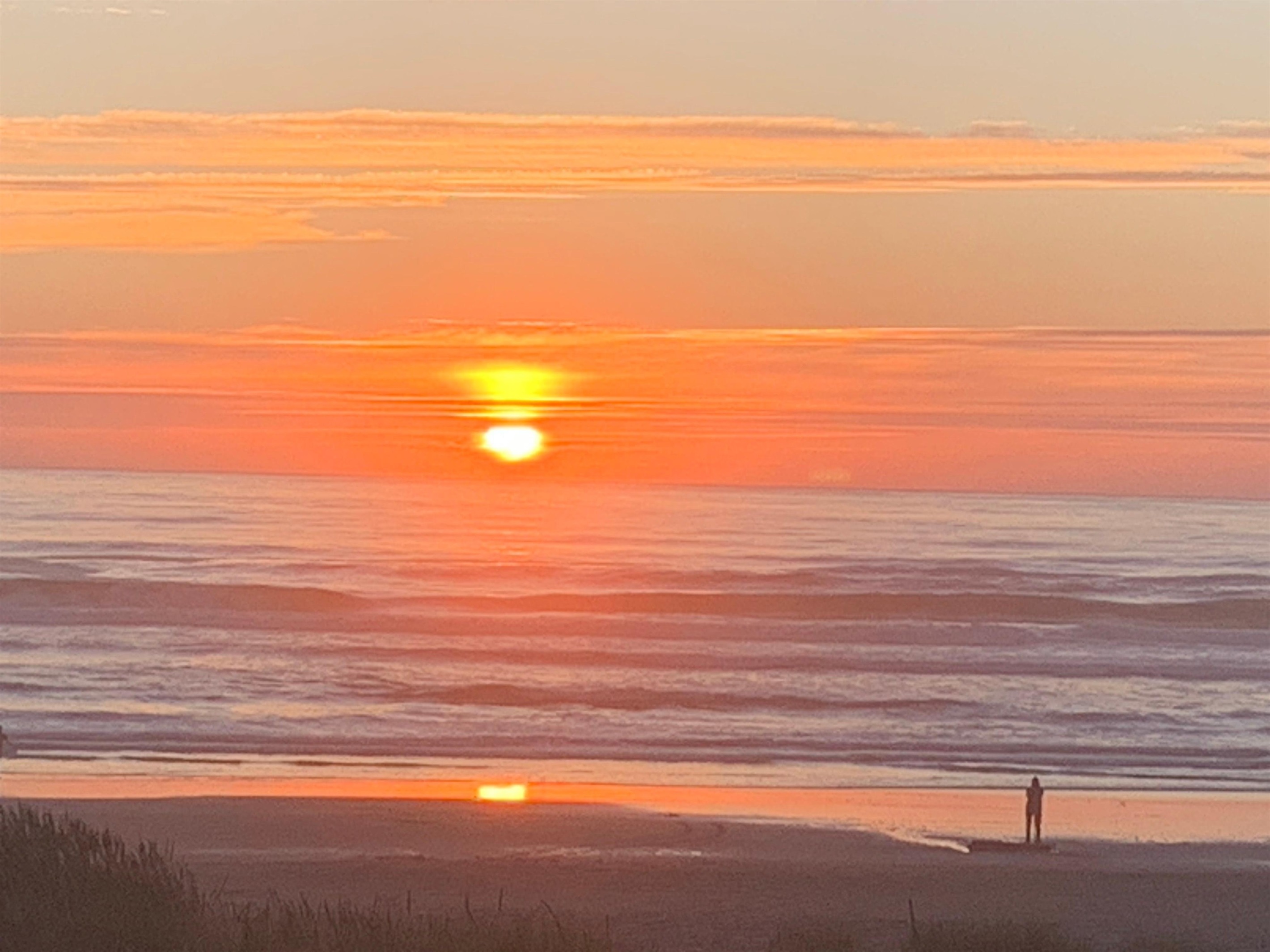 Anne F., Aug 20, 2025