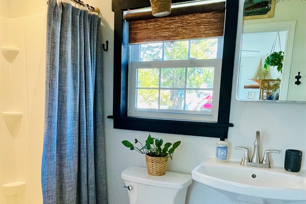 Bathroom, stand up shower. 