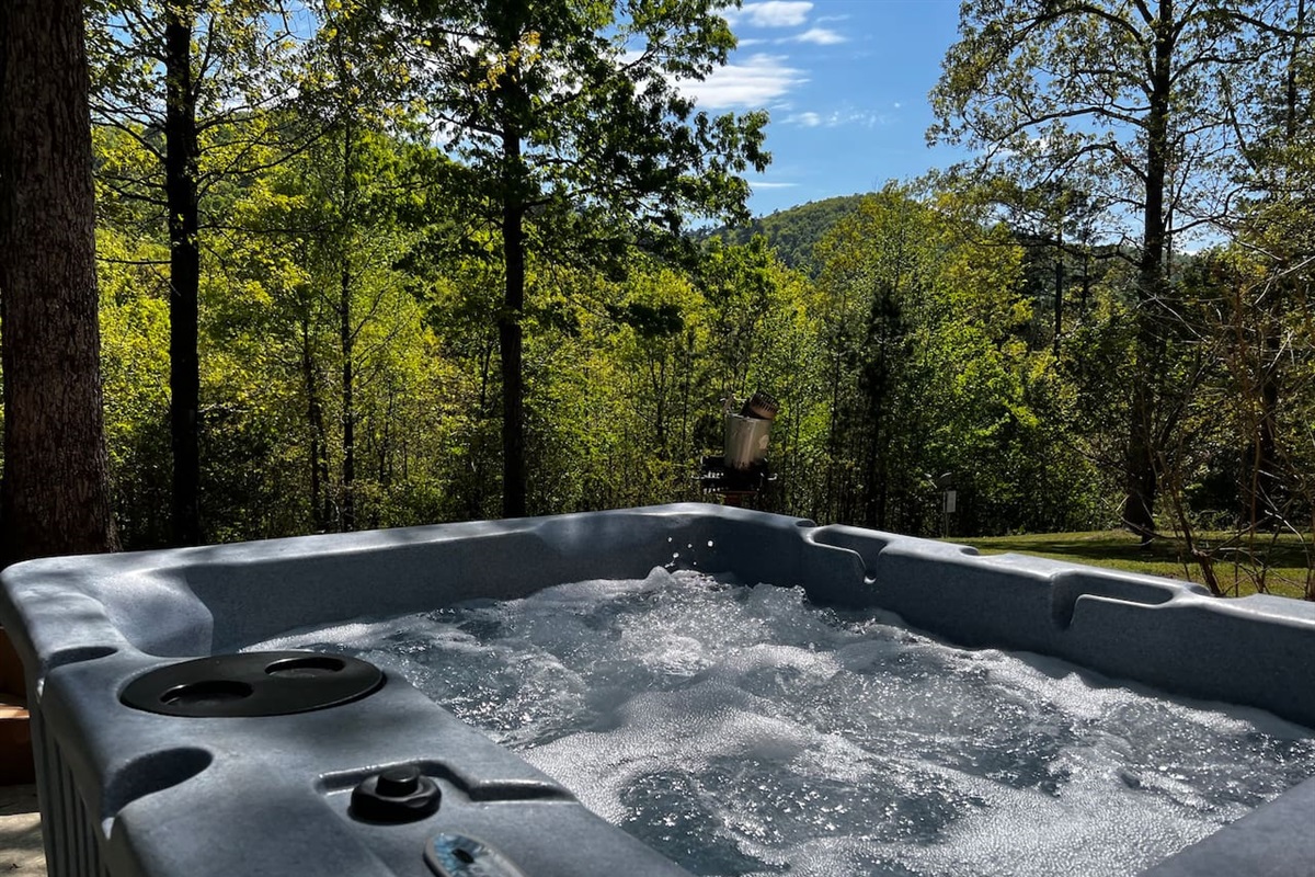 Private Hot Tub On Rear Patio