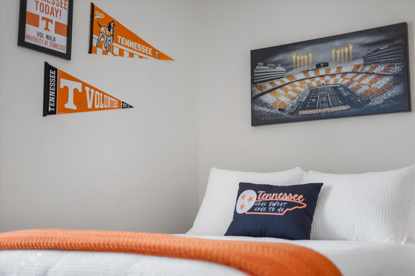 Neyland stadium pic and more Tennessee decor!