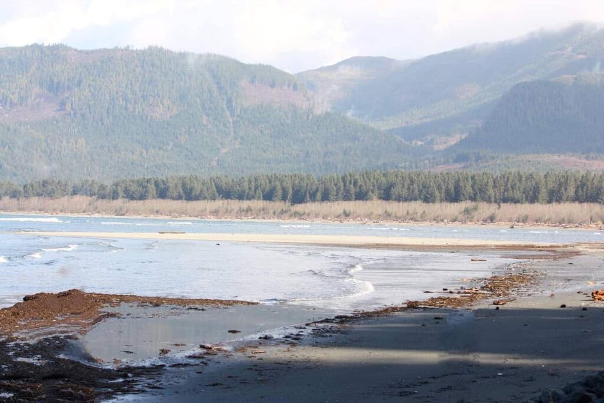 Pacheedaht Beach, at low tide
