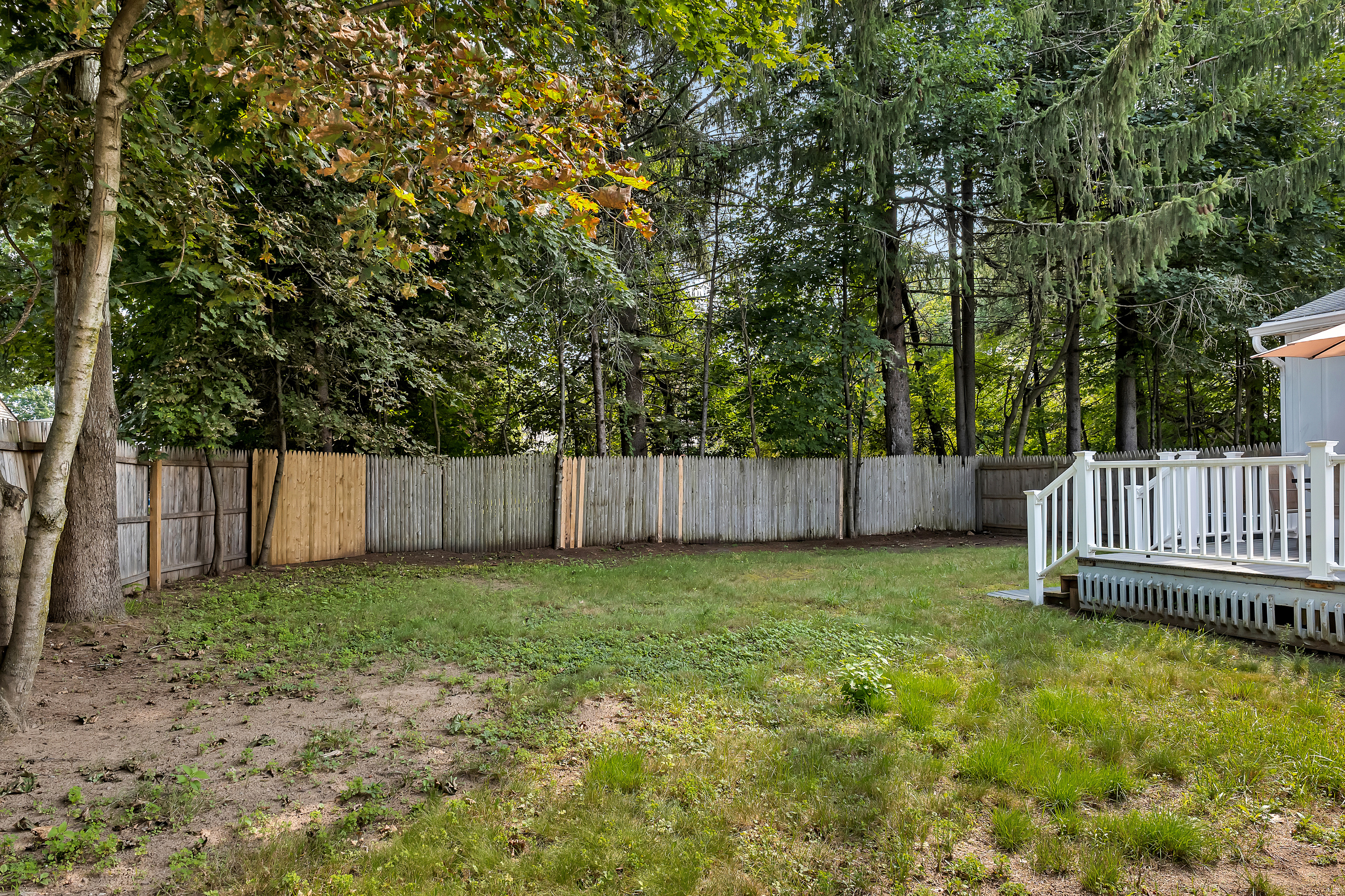 Backyard – Fenced Yard
