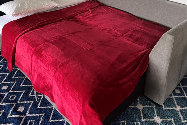 Need to squeeze in a few more? The queen sofa bed can handle it.