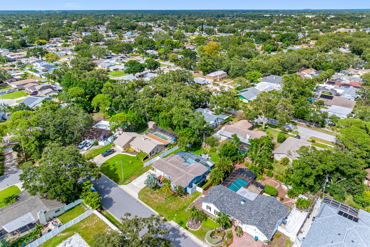 Aerial View of the Neighborhood