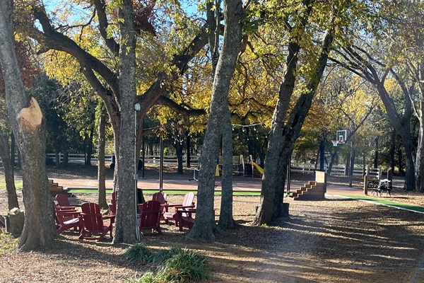 Multiple outdoor game options keep everyone entertained