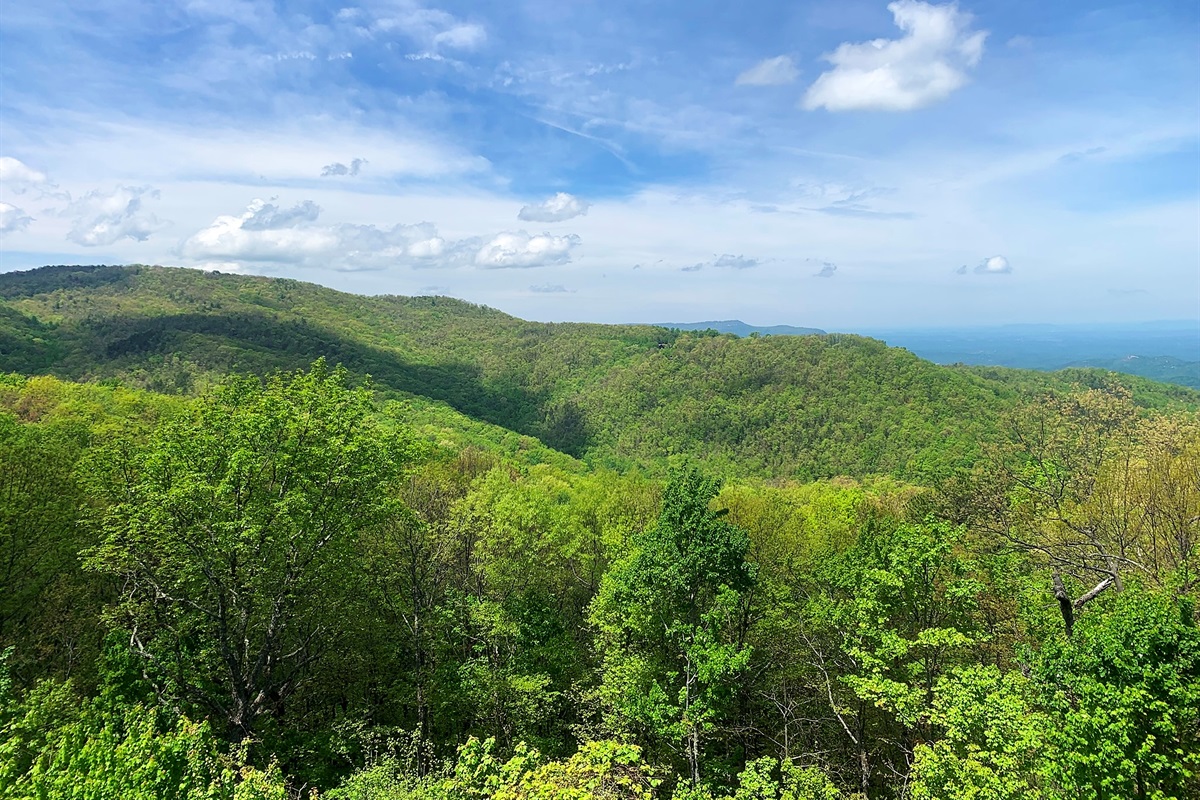 A true Gatlinburg cabin setting with treetop views and peaceful surroundings.