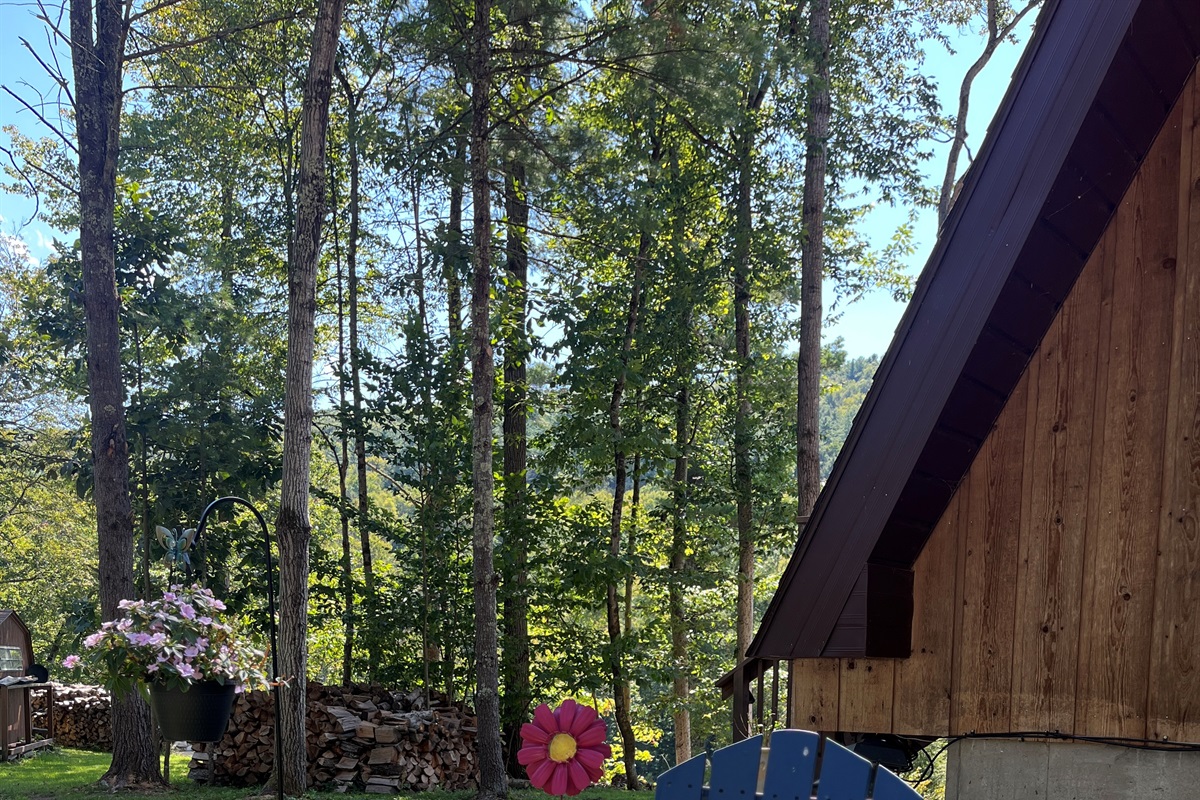 Another spot to press pause and enjoy