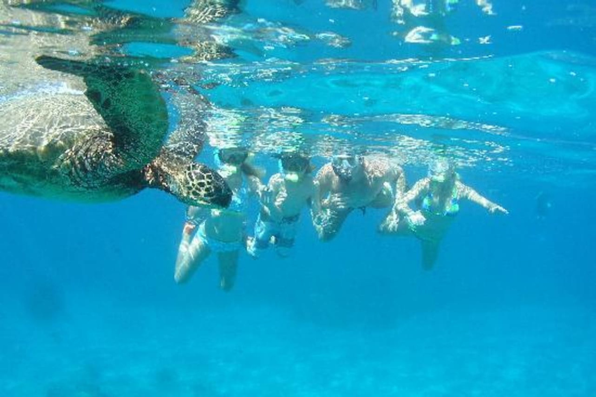 snorkel with turtles out front :) 