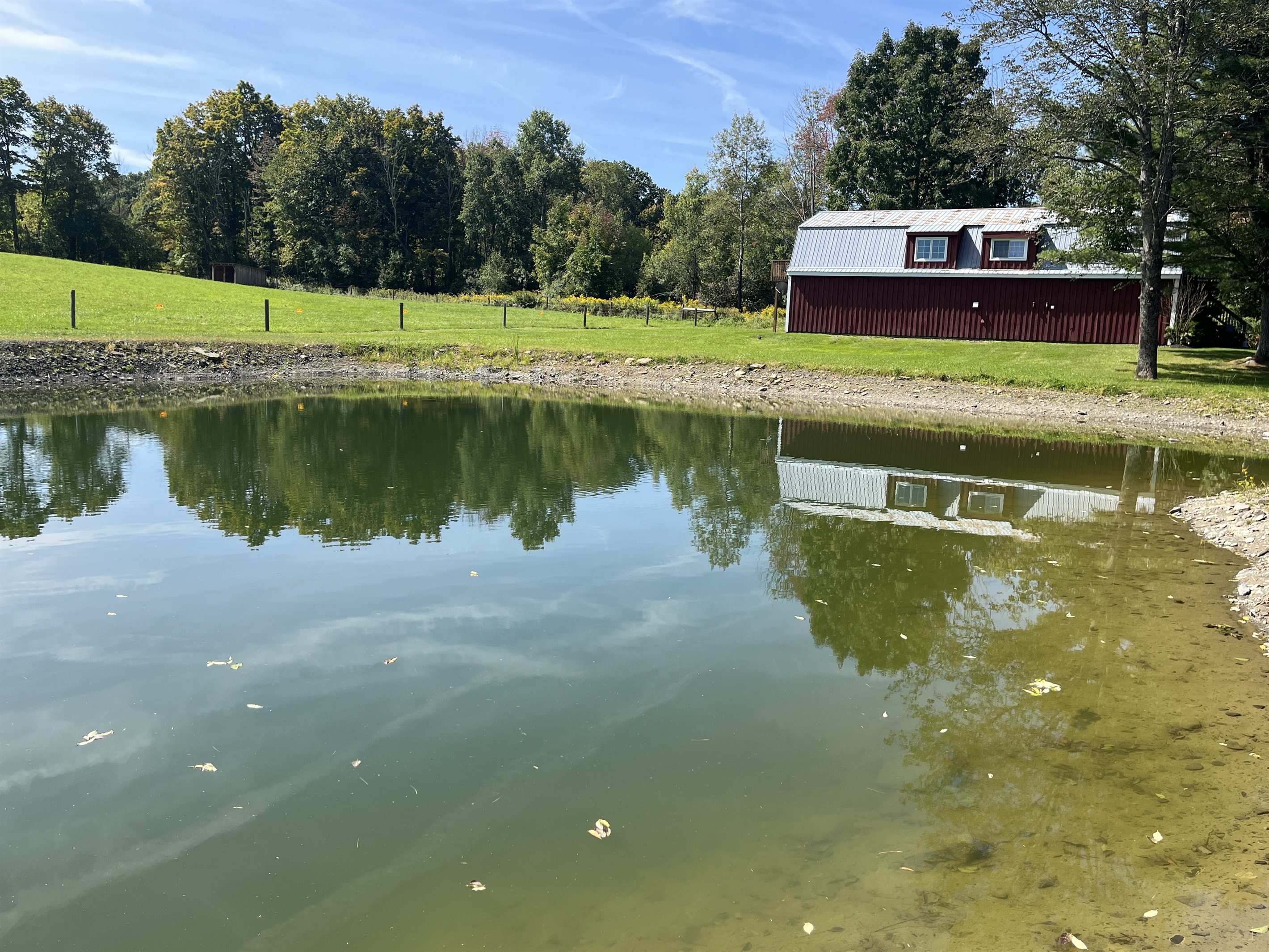 Shared pond at Breezy Acres