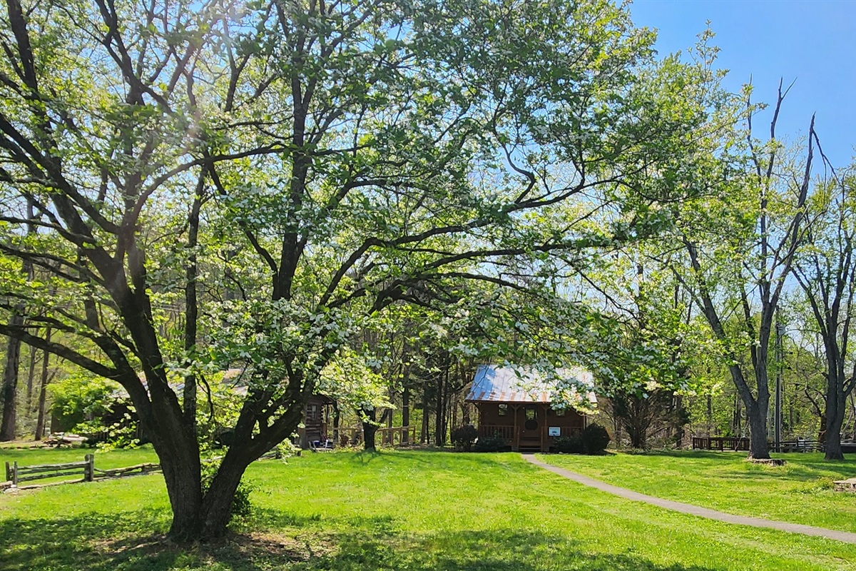 Welcome to The Riverbend!