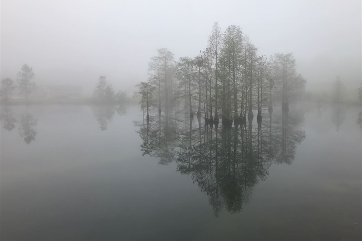 The occasional morning fog