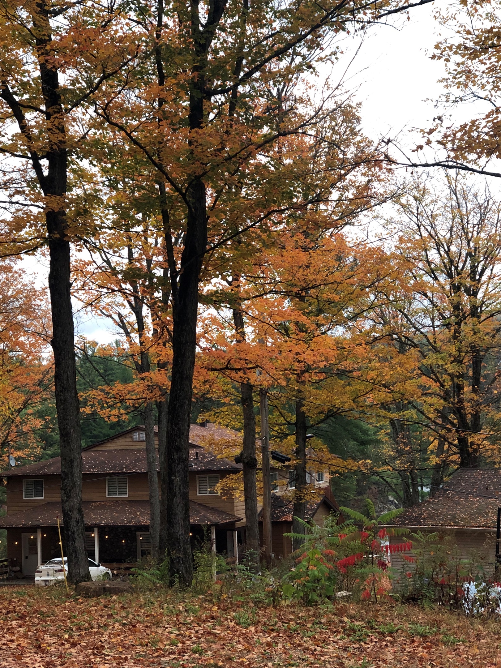 Le Manoir in fall splendor