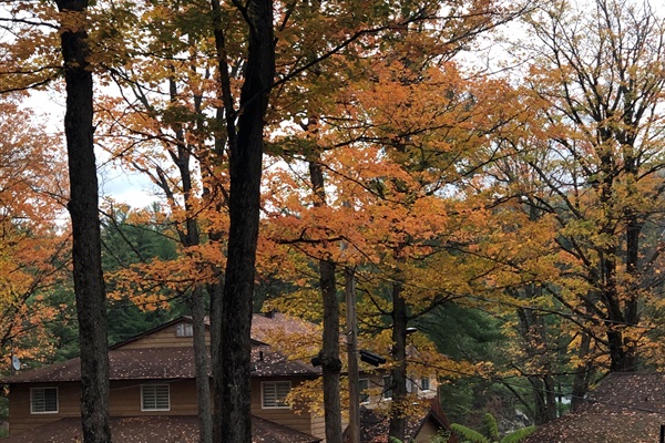 Le Manoir in fall splendor