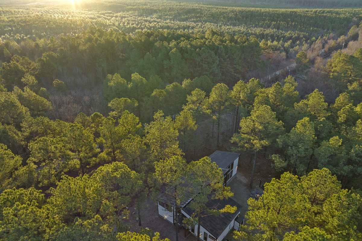 Piece of the Moon offers peaceful seclusion and golden forest views—where nature and comfort meet in perfect harmony.