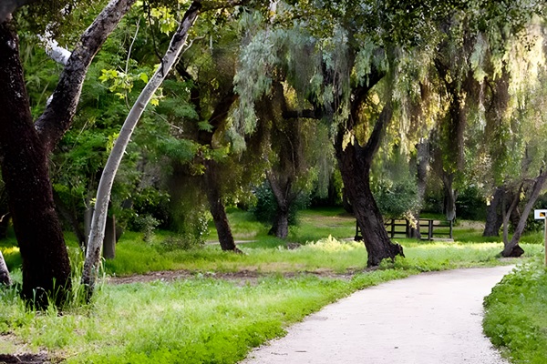 Beautiful nearby hiking trails