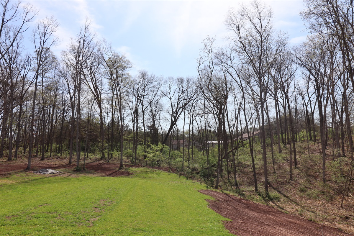 Deer are frequent visitors—don’t be surprised to see them right in the yard.