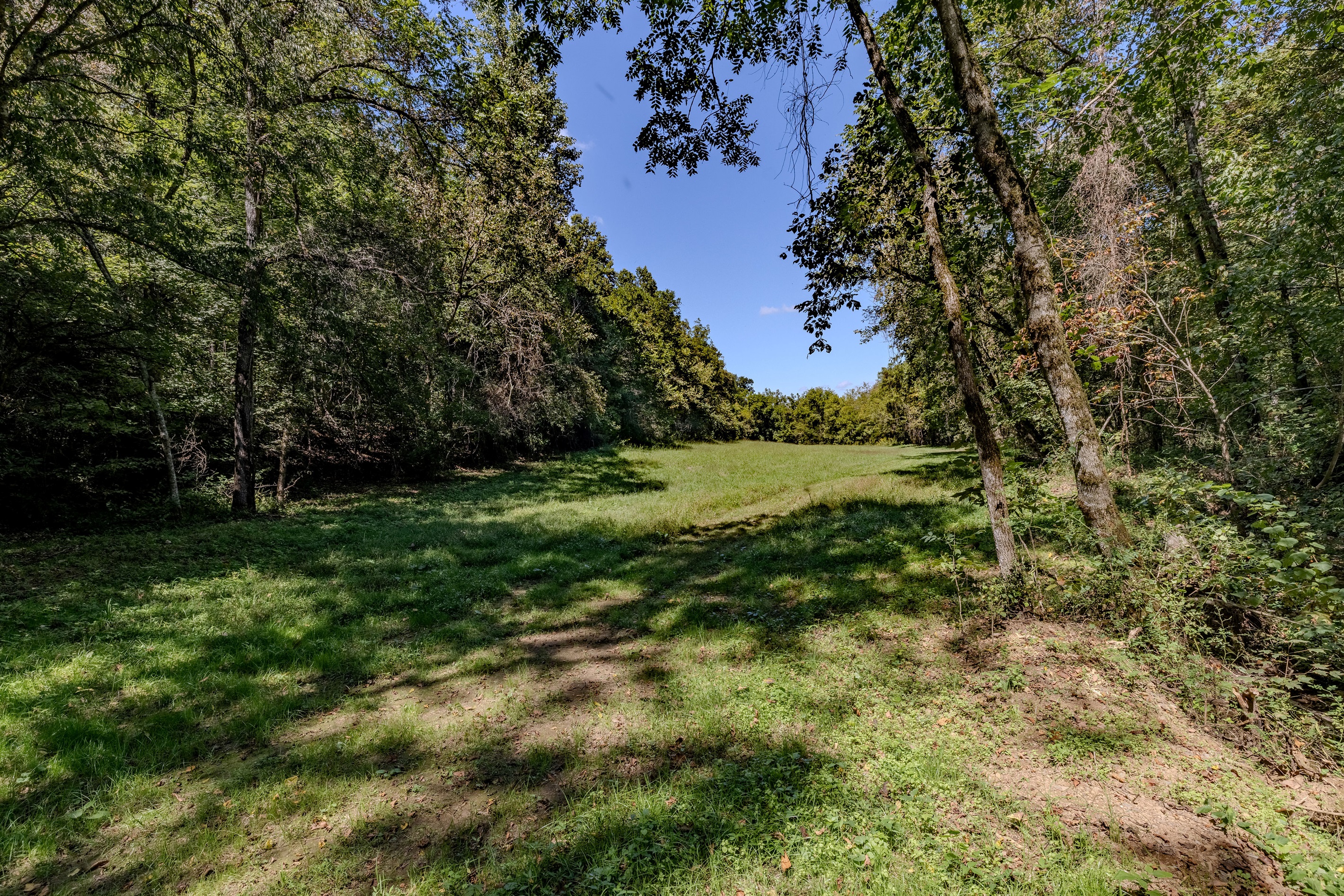 Explore our natural surroundings. This expansive field opens up into the forest, offering guests plenty of room to roam, relax, and connect with nature.