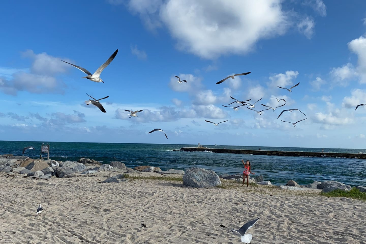 Haulover Beach. My favorite Beach ....