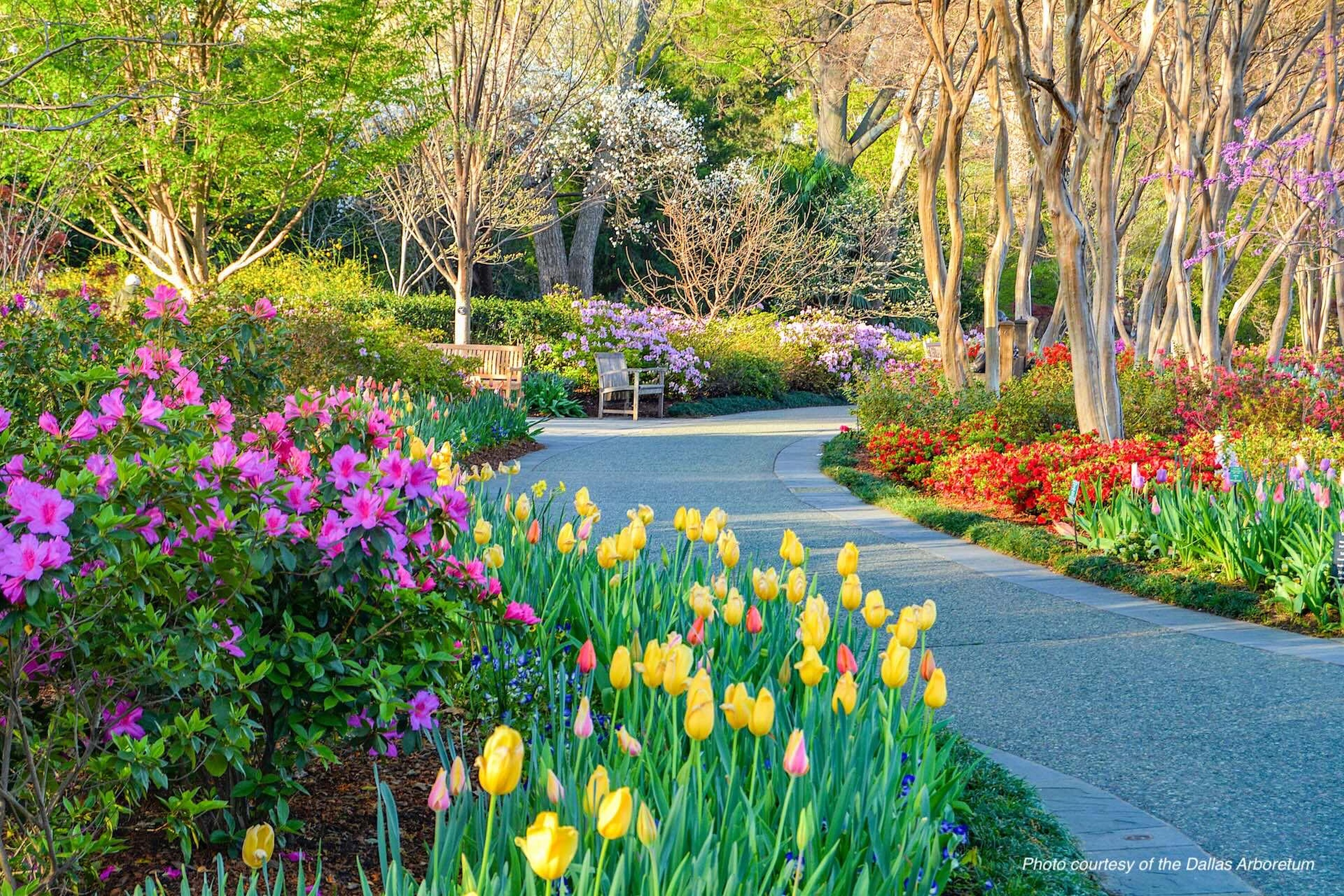 Explore the beauty of nearby Dallas Arboretum and Botanical Garden — one of Dallas’ most beloved attractions 🌸