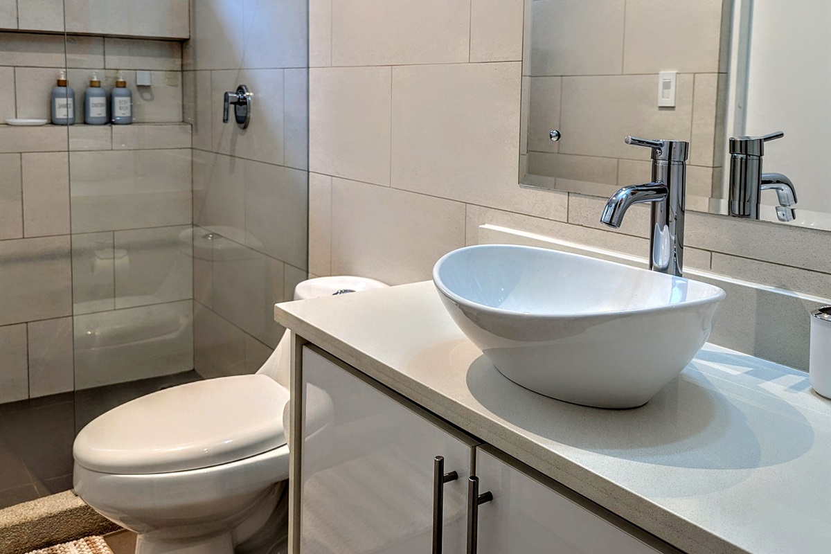 Downstairs guest bathroom sink