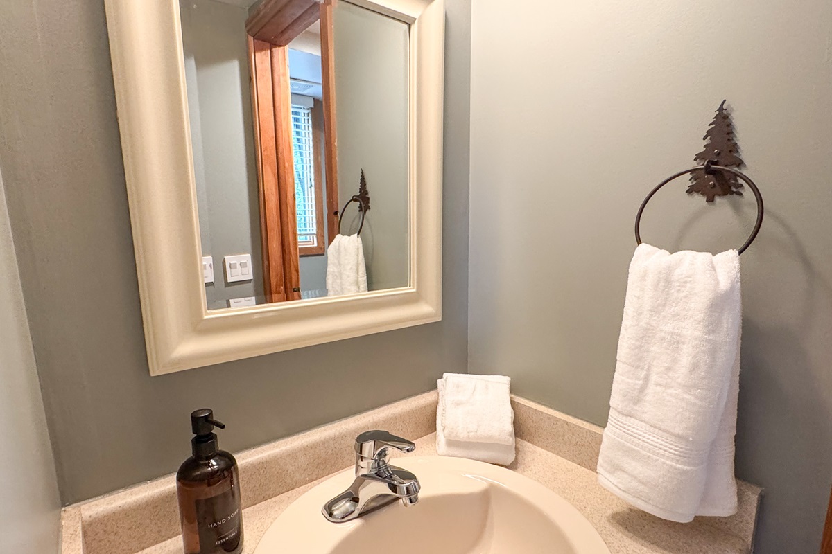 Main floor guest bath