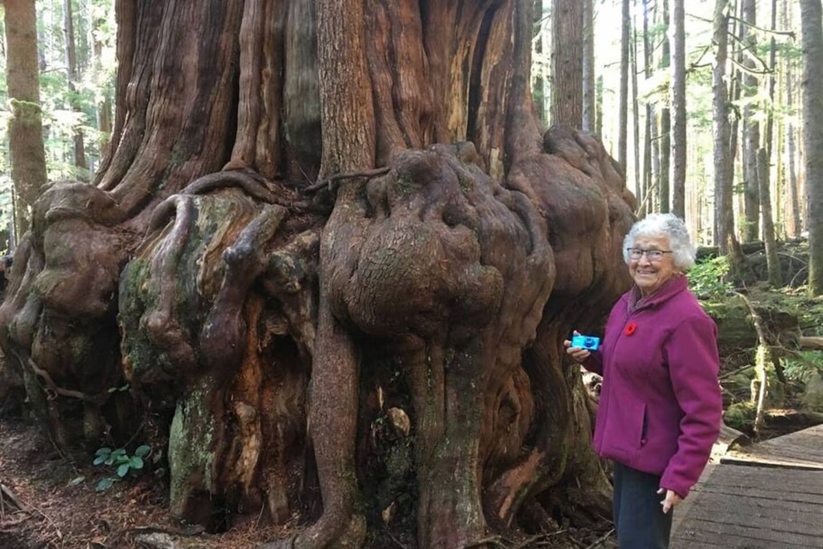 Mum, at 94, at the base of a Gnarly Tree