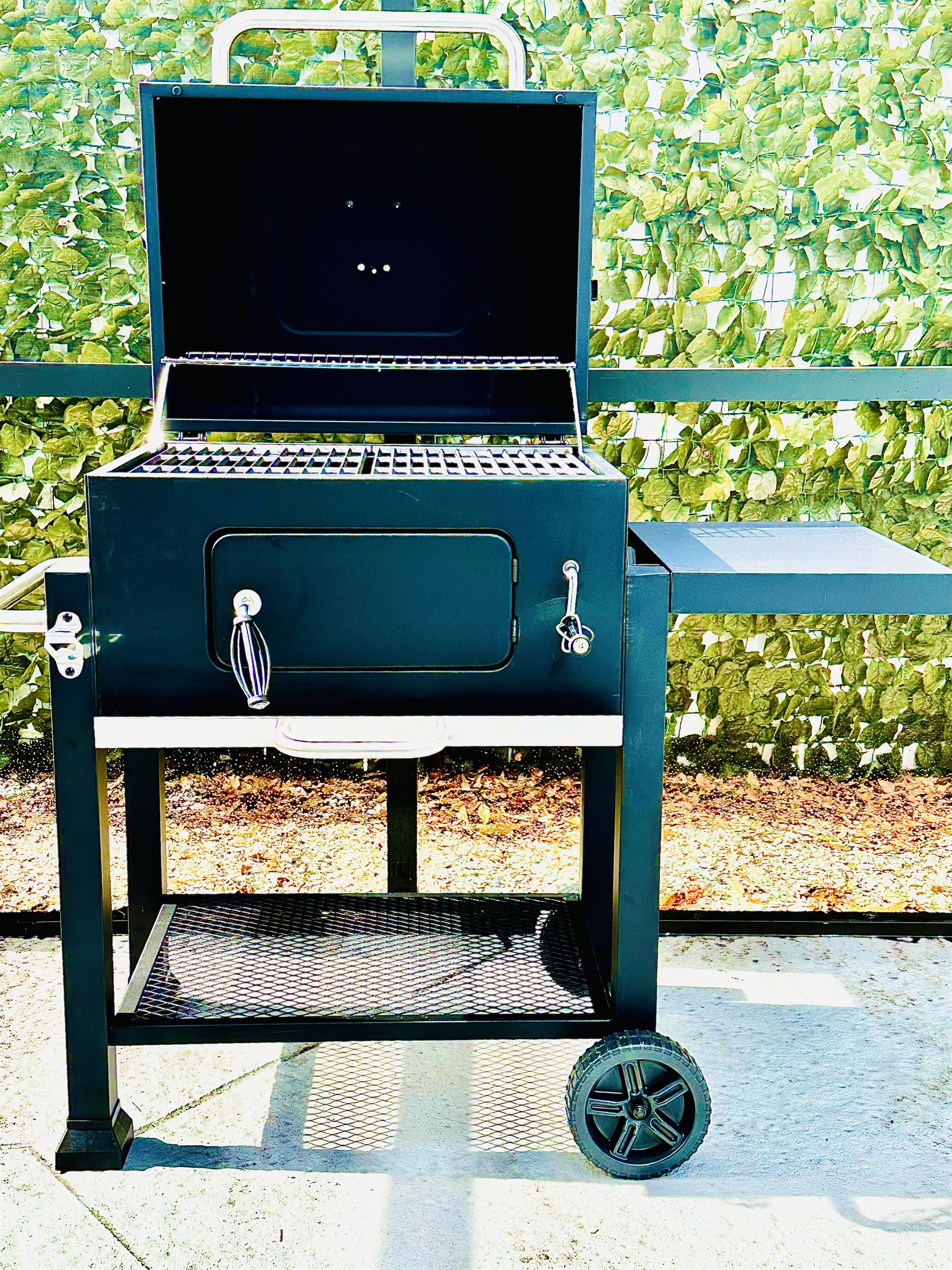 BBQ