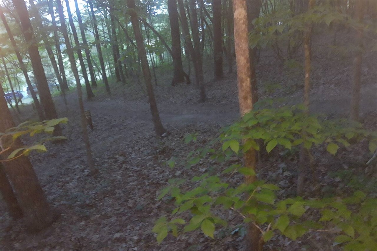 Trail to parking area