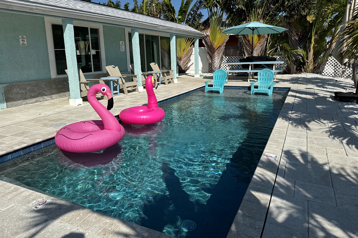 Pool with Baja shelf for chilling