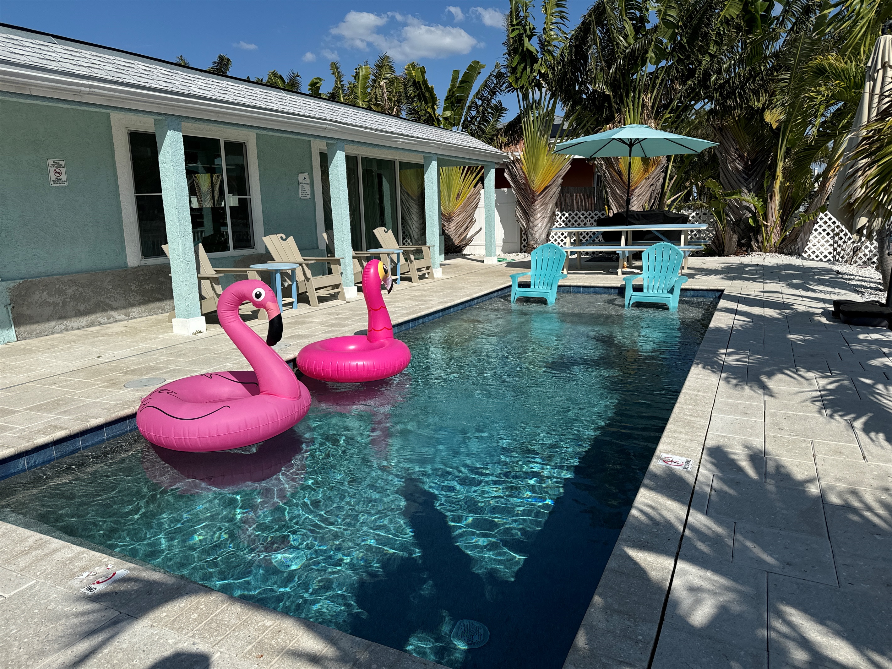 Pool with Baja shelf for chilling