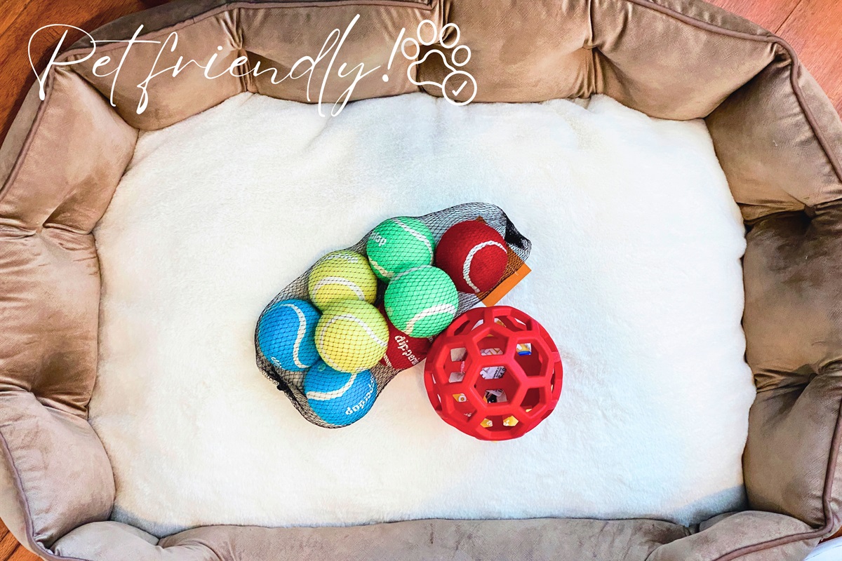 [Pet-Friendly] We offer warm & cozy spaces even for your fur babies while you put your feet up and relax! With toys for the fur babies, we make sure they have a good time while visiting!