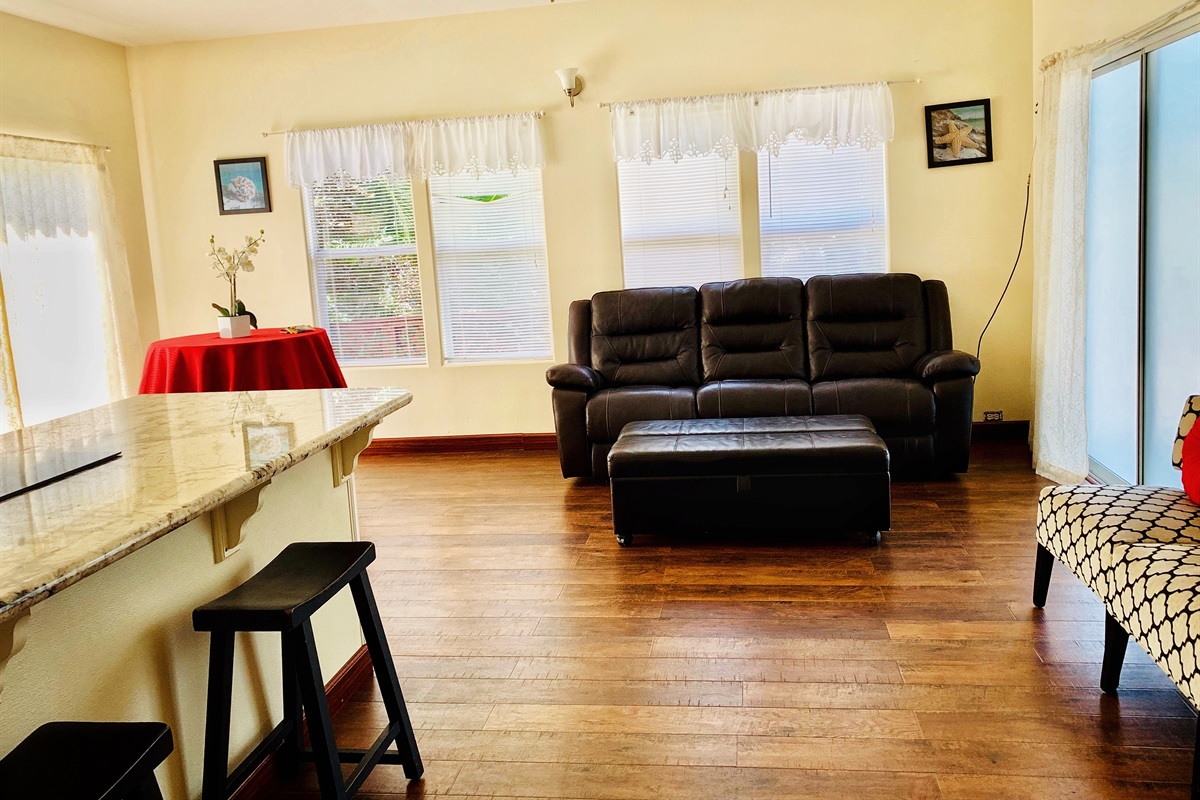 Downstair's living room