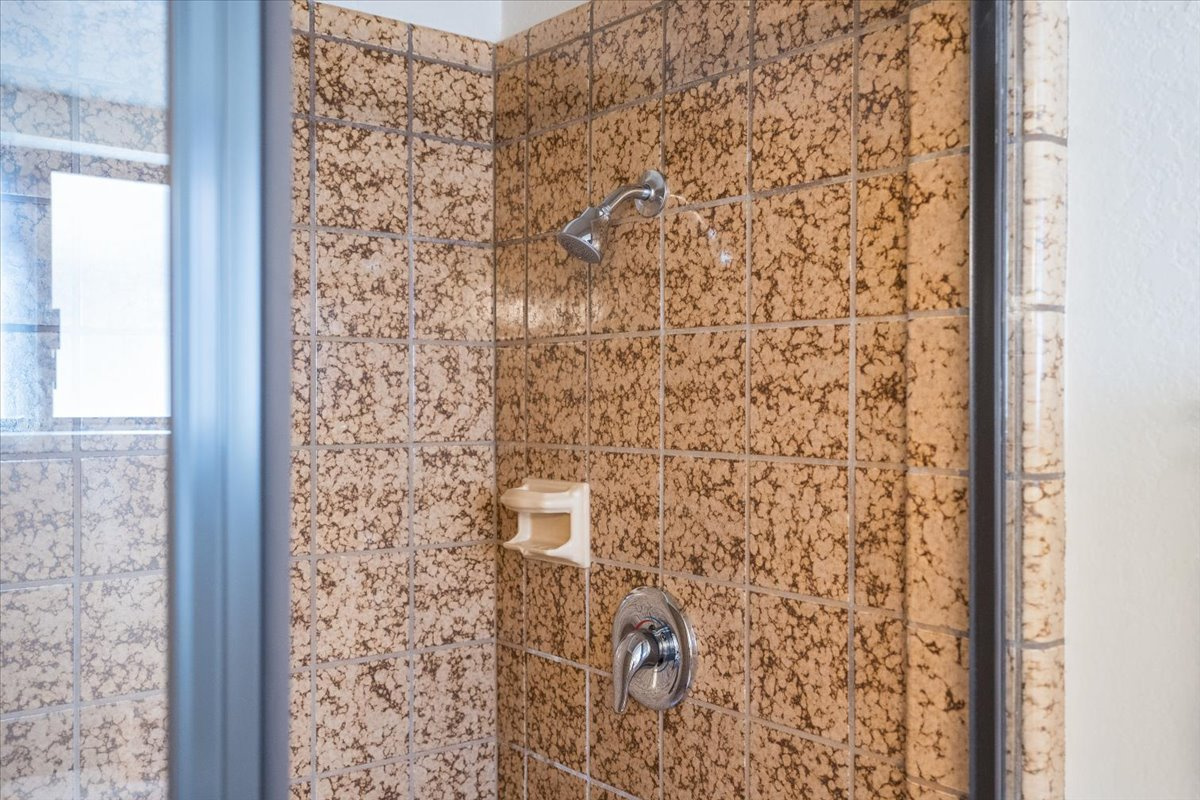 Downstairs hall bathroom w/ walk in shower