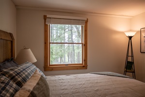 Window view to the woods