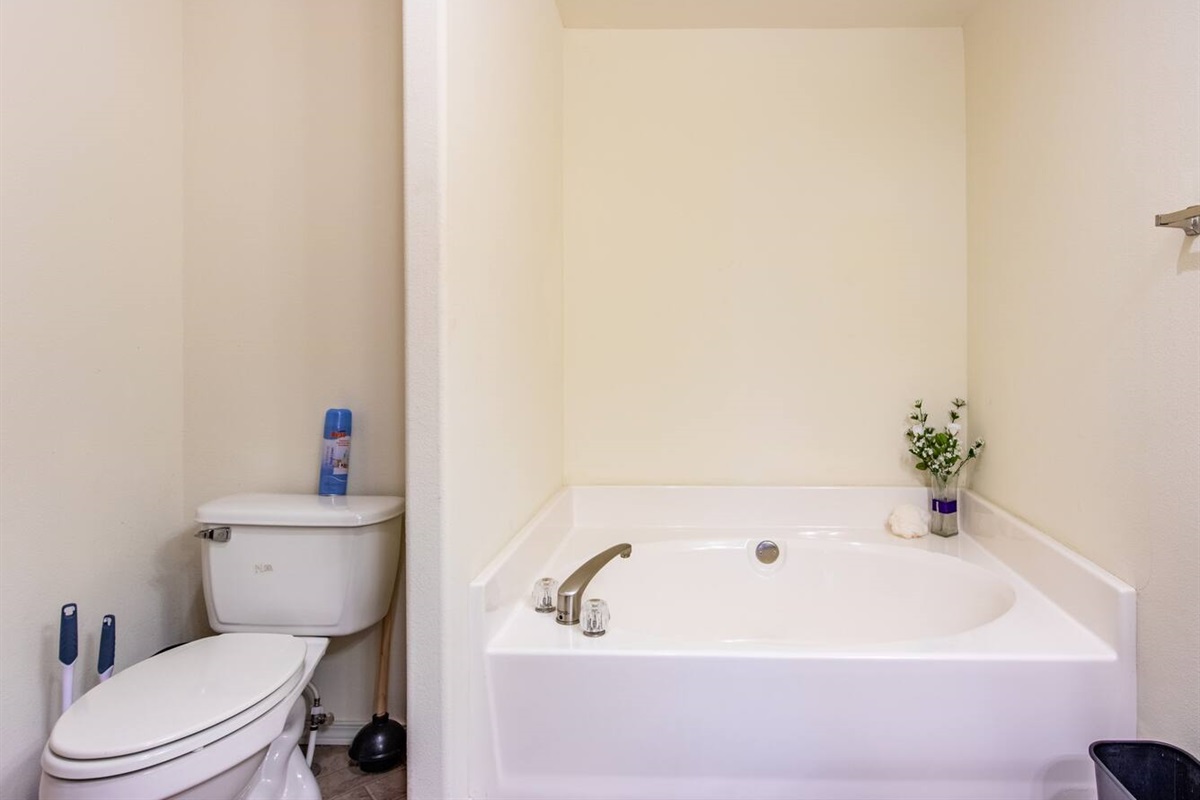 Master bathroom featuring a soaking tub.
