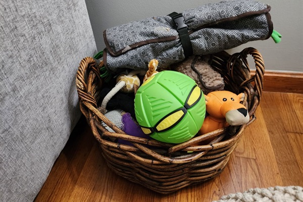 Dog toy basket for playtime.