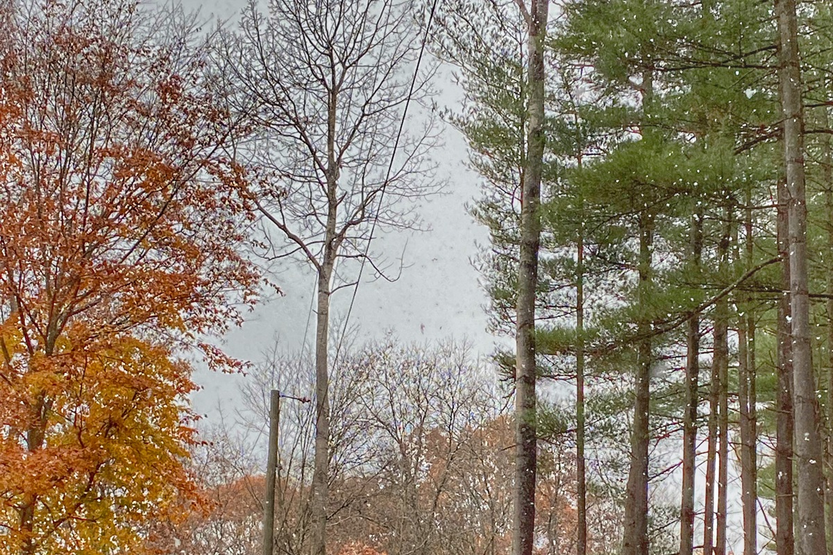 Autumn is a favorite time to of many guests to visit!
