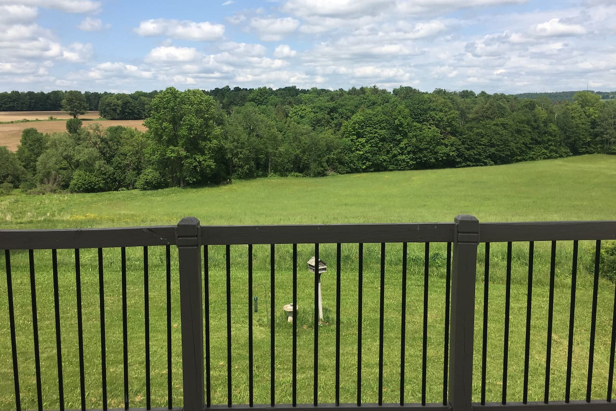 View from Balcony 