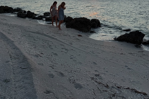 Sunset walks looking for shells along the beach 