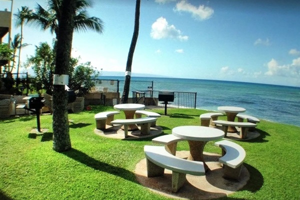 Perfect for a sunset BBQ