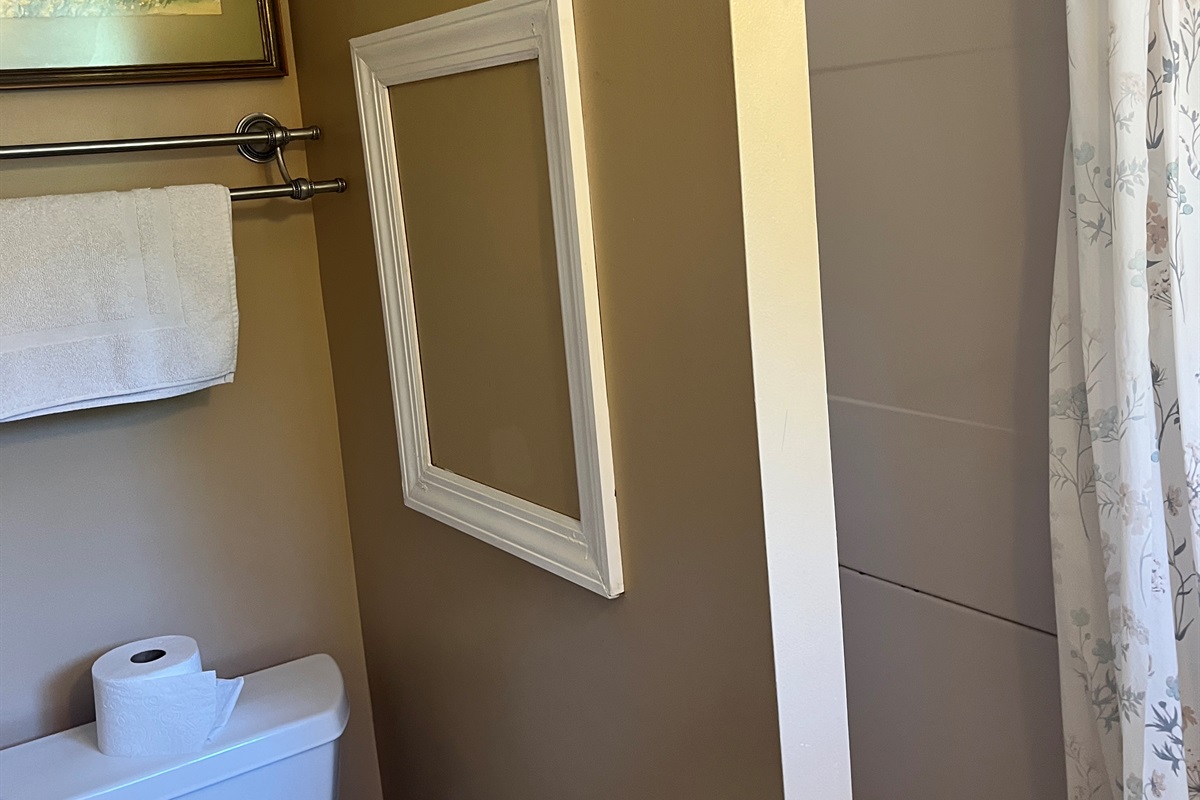 2nd floor Jack and Jill bath with shower