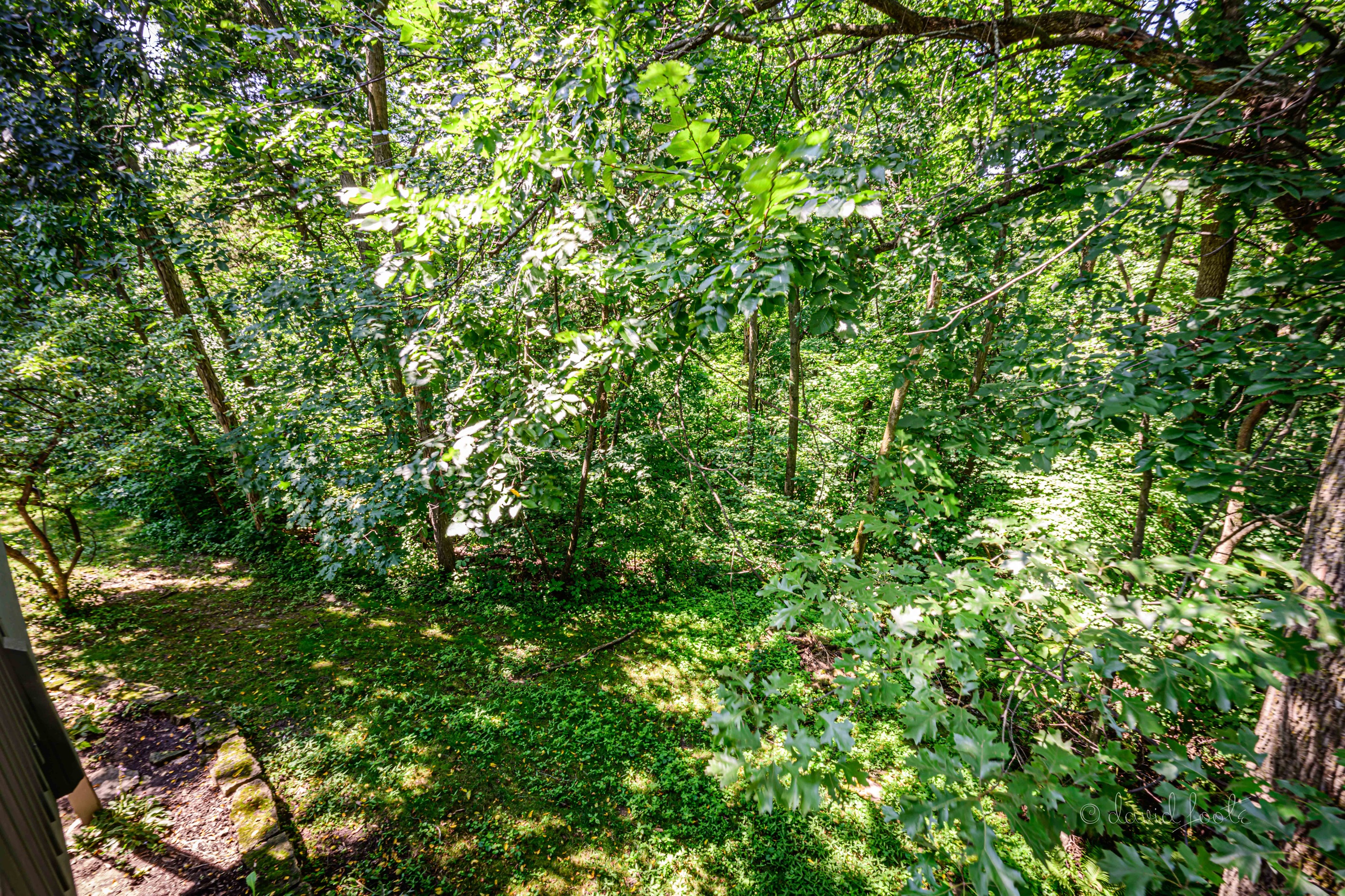 Located on over an acre of beautiful, peaceful woods