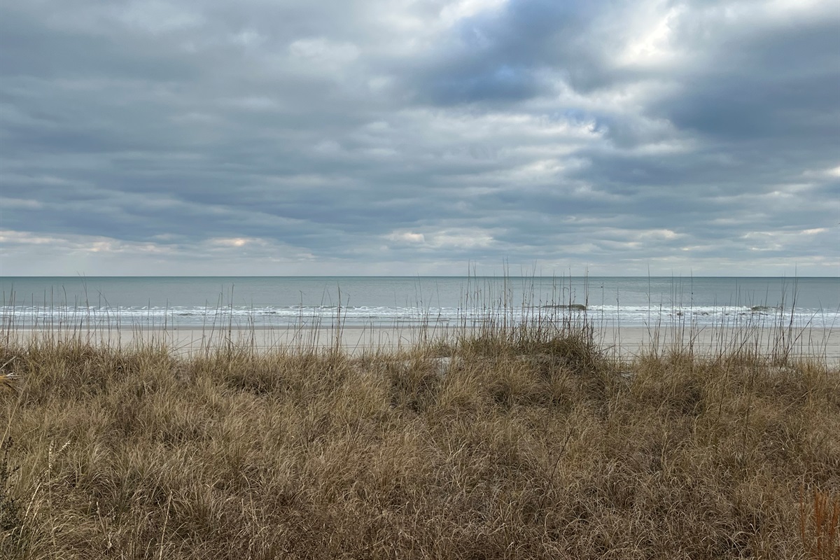 Ocean and Dunes View