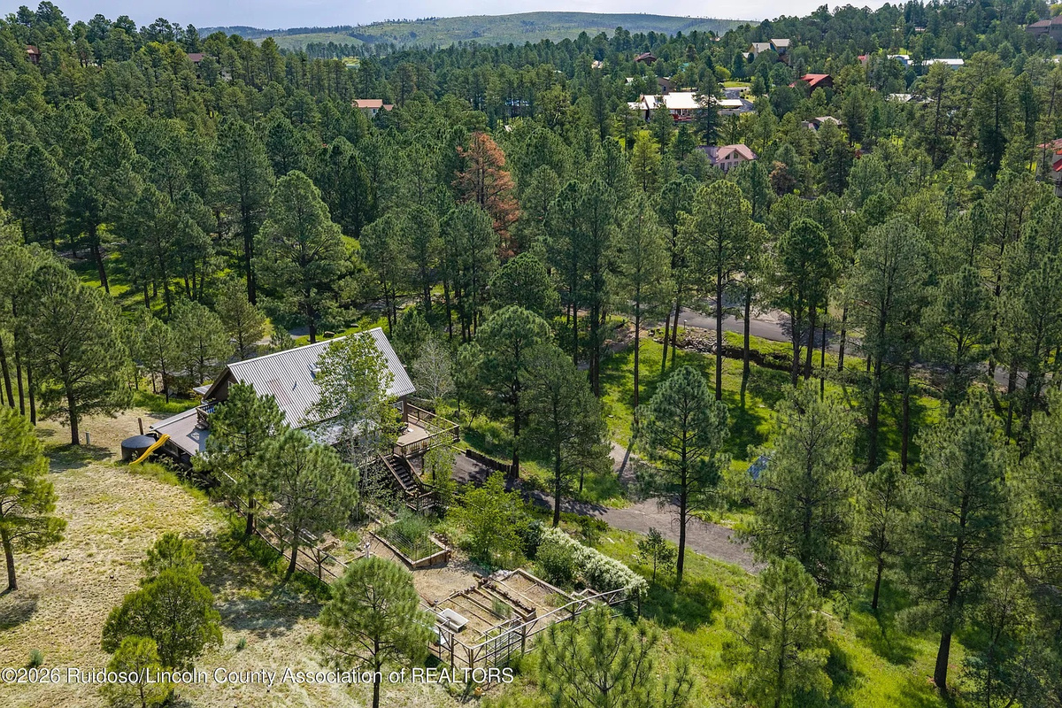 Nestled in the trees