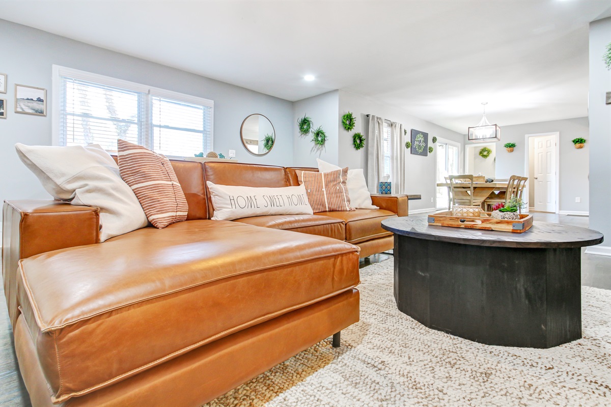 New Comfortable Couch