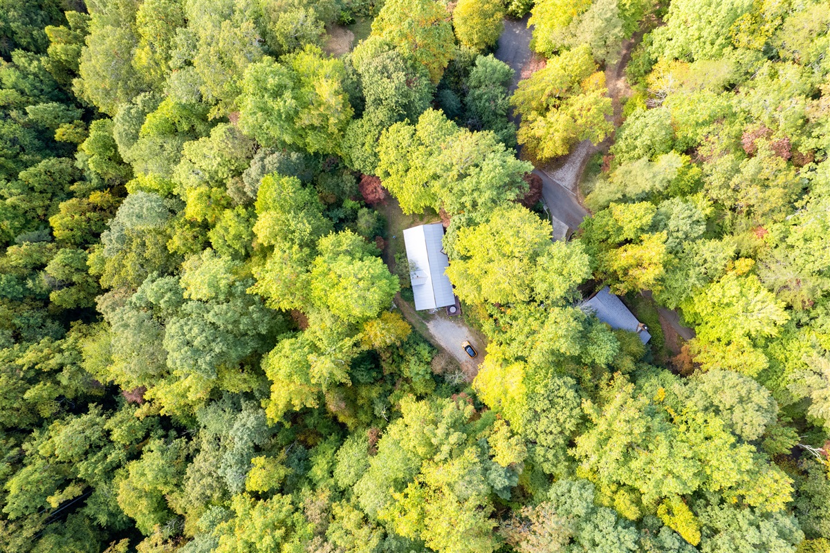 A Mountain Retreat in the woods!