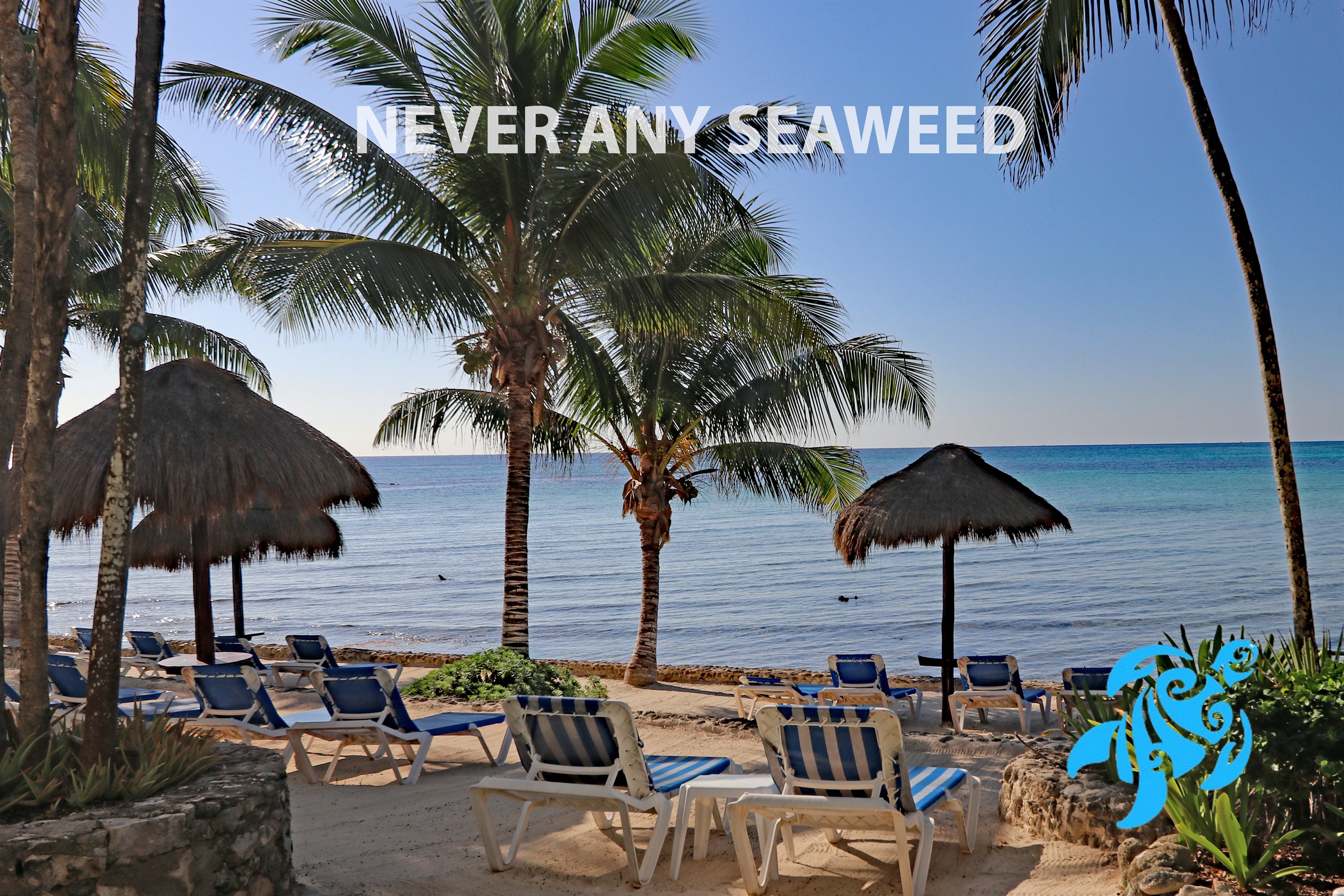 Private Beachfront w/ Lanai-Pool-Tropical Gardens!