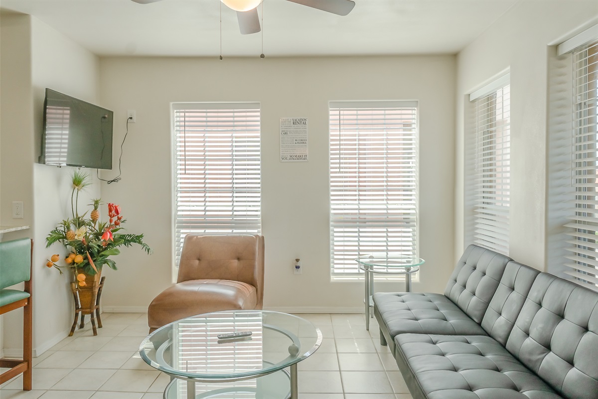 Futon in the Living Area