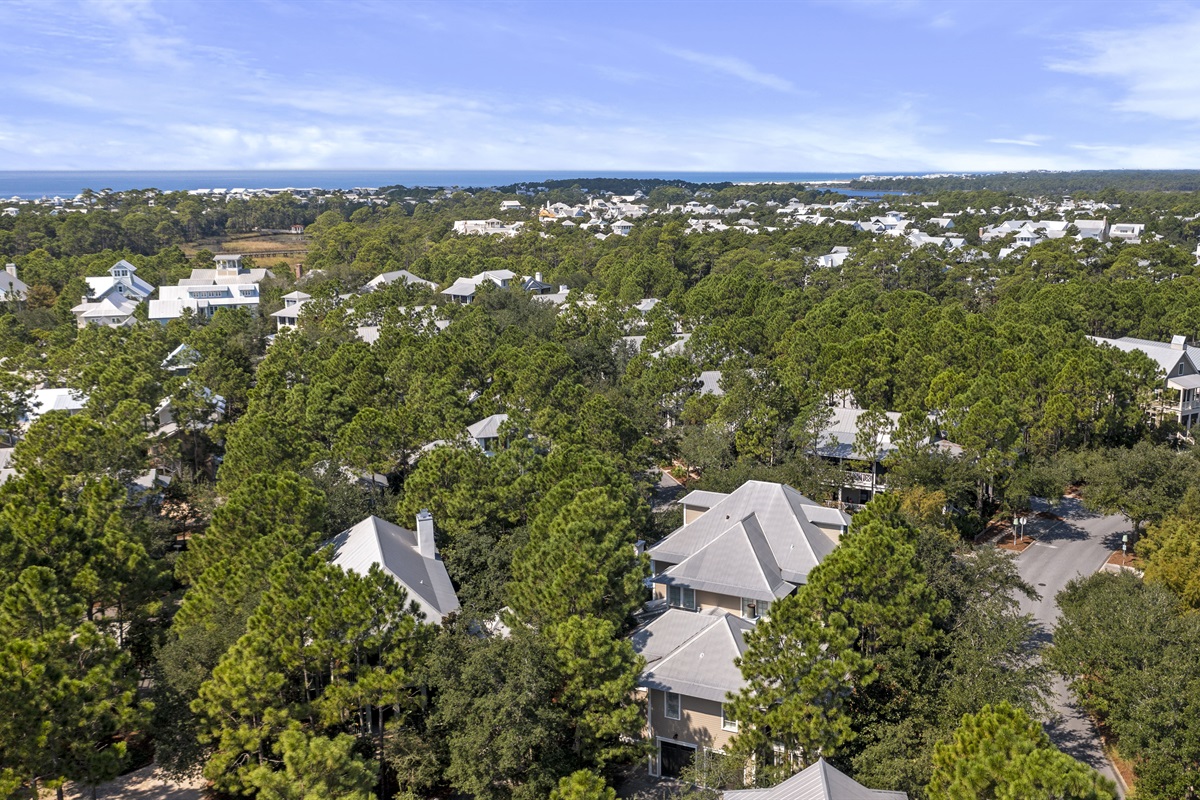 Aerial View Neighborhood